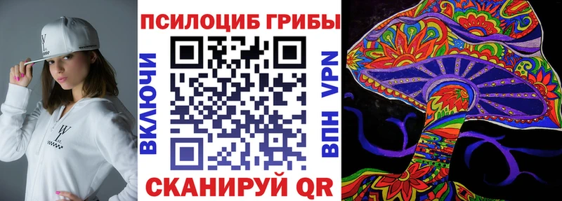 Купить  Заволжье  Галлюциногенные грибы MAGIC MUSHROOMS 